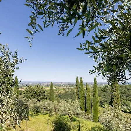 Bruno Montepulciano * Nottola